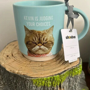 🍀 HALLMARK SHOEBOX NWT KEVIN IS JUDGING YOUR CHOICES MUG